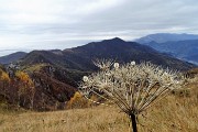 52 Dal sent. 531 sul Monte Costone vista verso il Canto Alto e il Linzone